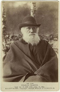 Charles Darwin photograph by Elliott and Fry, 29 November, 1881.jpg