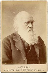 Charles Darwin photograph by Elliott and Fry, circa 1875.jpg
