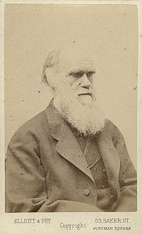 Charles Darwin photograph by Elliott and Fry, late 1870s.jpg
