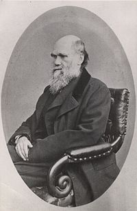 Charles Darwin photograph by Ernest Edwards, 1867.jpg