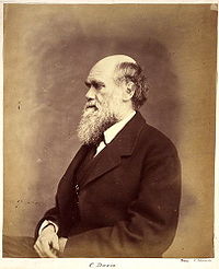 Charles Darwin photograph by Ernest Edwards, circa 1866.jpg