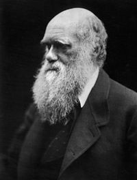 Charles Darwin photograph by Julia Margaret Cameron, 1968.jpg