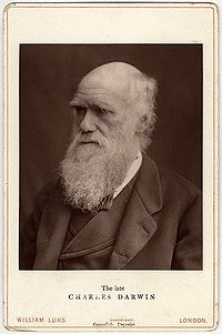 Charles Darwin photograph by Lock and Whitfield, 1877.jpg