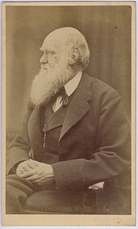 Charles Darwin photograph by Oscar Rejlander, circa 1871.jpg
