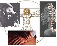 Pastiche of man thinking and writing; the ribs, vertebrae, and hip bones of a human skeleton; a hand holding another; and Leonardo's famous drawing of a man in square and circle