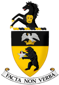 The second set of arms