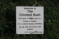 Crooked Bush Sign.JPG
