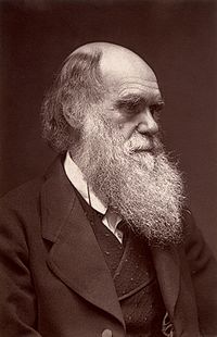 Darwin - John G Murdoch Portrait restored.jpg