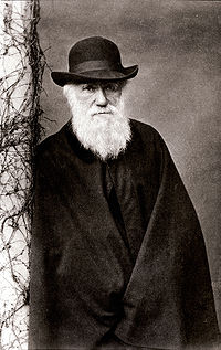 Darwin 1881.jpg