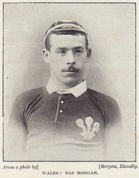 David Morgan, Welsh rugby.jpg