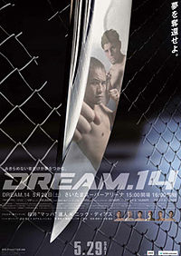 A poster or logo for Dream 14.
