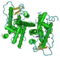 Estrogen receptor beta 1U3S.png