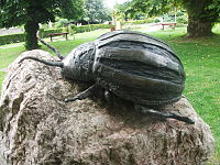 Colorado potato beetle statue in Hédervár