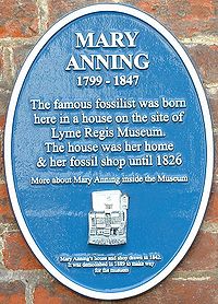 Oval blue plaque mounted on brick wall that says that Anning was born in house that used to be at this site