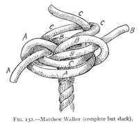 Matthew Walker knot-slack.gif