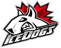 Mississaugaicedogs.png