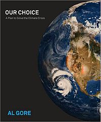 Our Choice book cover.JPG