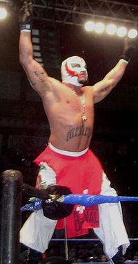 A masked wrestler posing on the second turnbuckle during a wrestling event