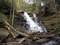  A cascade, divided at the top by a large boulder, slides across a rock face diagonally, from left to right. A mixed forest is visible above the falls, with green and yellow leaves. A large clump of fallen limbs and trees sits at the base of the falls.