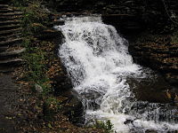  A wide slide falls, with a hiking trail on the left. Native stone stairs for the trail ascend the glen. Newly fallen leaves litter the rocks on the edge of the stream.