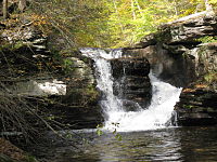 Water falls through a chute in layered rock, divided by a large pulpit-shaped boulder. A pool is visible at the base of the falls, and the leaves on the surrounding sunlit trees are bright green or yellow.
