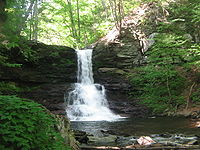A falls that drops from a ledge and then cascades on layered rocks below. The sunlit leaves on the surrounding trees are green.