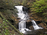 A cascade fall is at the top and below the cascade is a fall split by a rock into two, with a straight drop into a plunge pool. It is autumn, with leaves in various stages of color on the trees; some are green and others are orange or yellow. Fallen leaves cover many of the rocks along the stream.
