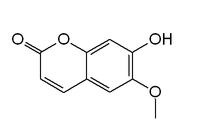 Chemical structure of scopoletin