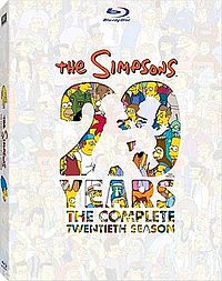 The Simpsons-S20 cover.jpg