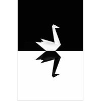 The black swan taleb cover.jpg