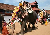 Thrippunithura-Elephant
