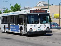 a white Winnipeg Transit bus in service.