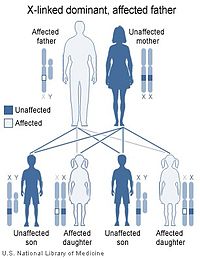 X Linked male dominant traits