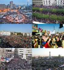 Info box collage for mena Arabic protests.png