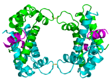 The p11 protein.