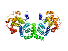 Structure of PDB 2B9R human cyclin B rendered with PyMol (DeLano Scientific Freeware).