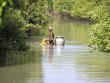 A traditional canal fisher.JPG