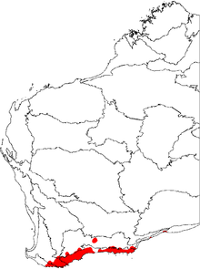 a map of Western Australia with the floristic regions delineated, and an area in the bottom marked in red