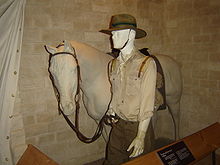 A display in a museum of a mannequin dressed as a soldier leading a horse