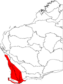 A map of the biogeographic regions of Western Australia, showing the range of Banksia sessilis. It occupies the southwestern corner of Australia.