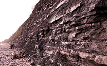 Cliff wall with layers of rock next to a rocky beach
