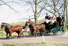 A team of four bay (brown with black mane and tail) horses trotting along a cobblestone path with trees and fields in the background. They are pulling a green carriage in which several people ride.