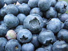 Group of approximately 20 blue berries