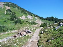 Part of the trail leading to Cheam Peak