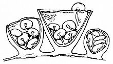 Drawing of three cup-shaped stuctures vertically bisected to reveal the contents within. The middle cup structure is the largest; it has an open top and has five smaller disc shaped object within, all attached to thin cords to the cup. The left and right structures are smaller, and also contain discs attached by cords; the rightmost structure is the smallest, and its top is not open, unlike the other two structures.