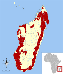 Range map showing the fossa's distribution in Madagascar.  Areas in red mark its distribution and mostly run along the outer edge of the island.