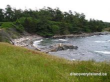 Discovery Island Marine Park 2708805625 c9358cfc33 o.jpg