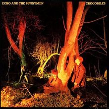 An album cover showing four men amongst some trees at night. In the top left-hand corner of the cover is the band's name and the album's name is in the top-right corner, both are in yellow text.