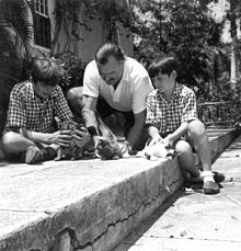 a dark-haired man wearing a light shirt with two dark-haired boys wearing shorts, sitting on a stone patio playing with three kittens