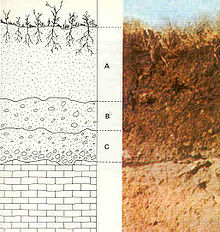 This is a diagram and related photograph of soil layers from bedrock to soil.